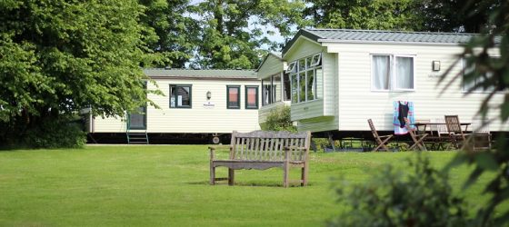 woodovis holiday park devon